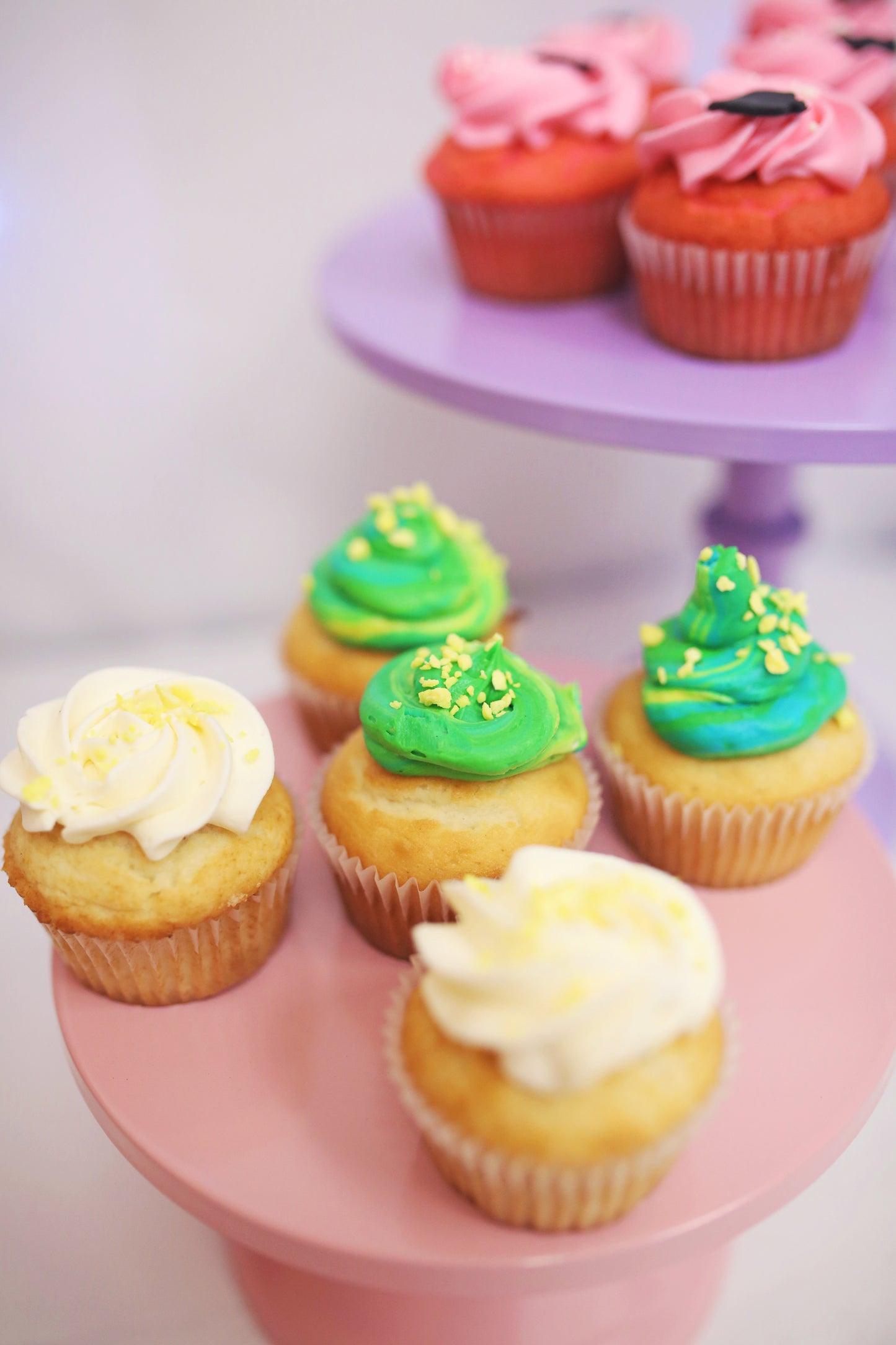 Little Dream Party