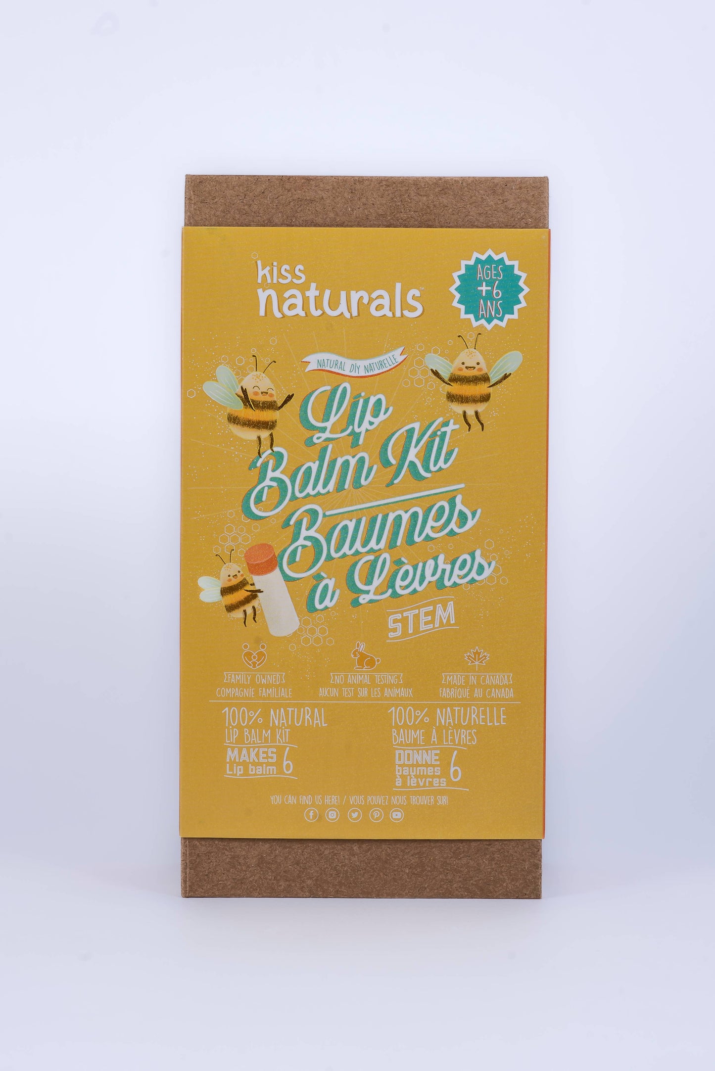 Case Pack Kiss Naturals DIY Lip Balm Kit (Kids)