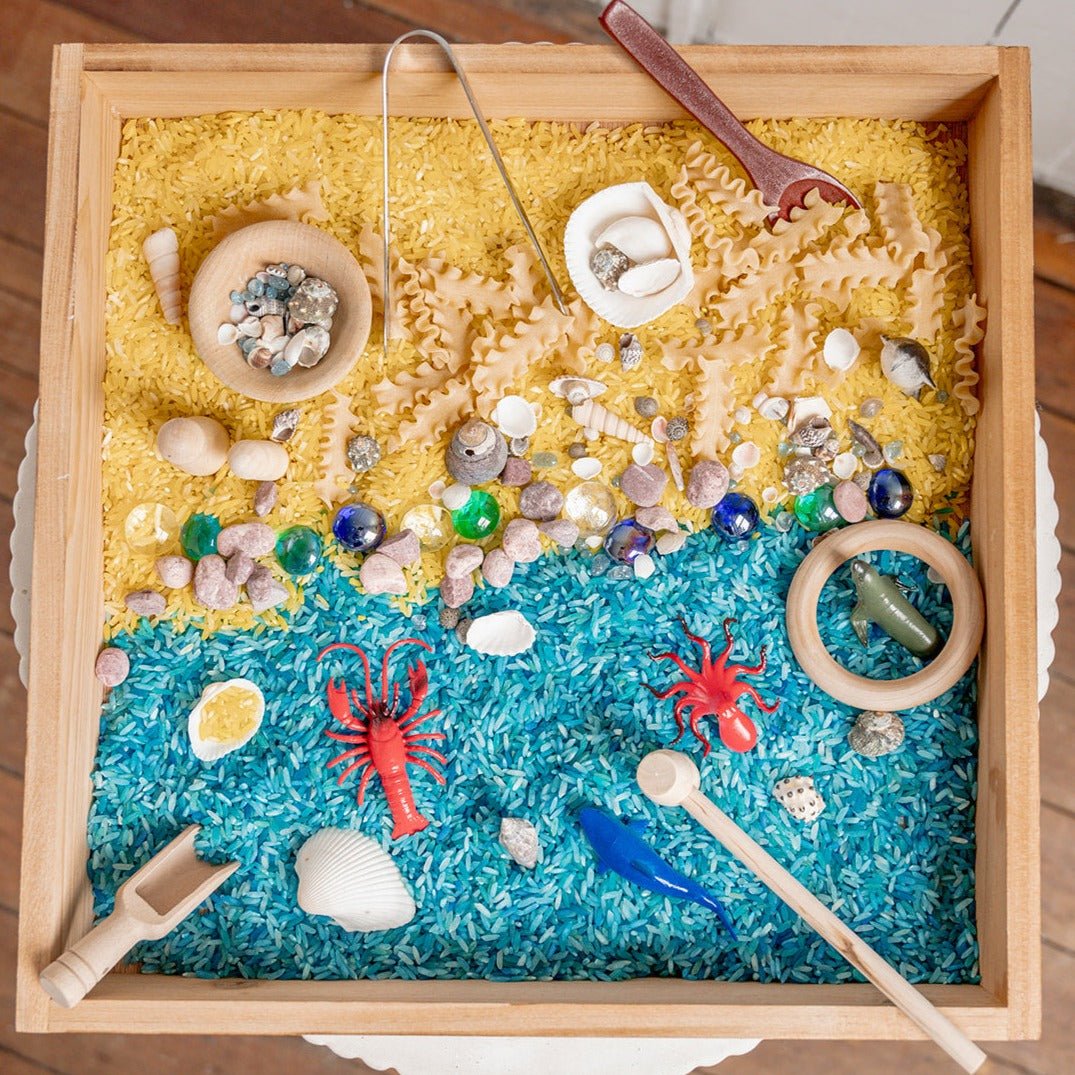 Under the Sea Sensory Kit - Monkey Bandit kids